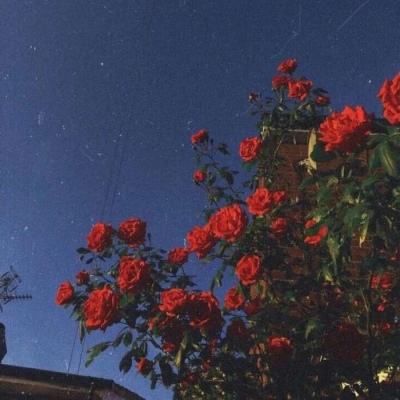 张雪峰去世，心源性猝死有多可怕？